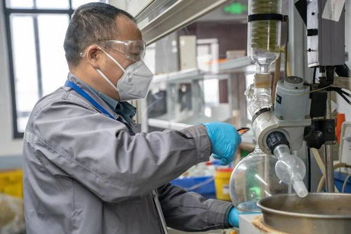 扎根幕后，奉獻(xiàn)最好技術(shù)服務(wù)——家校企社在地光芒行之工會(huì)站紀(jì)實(shí)